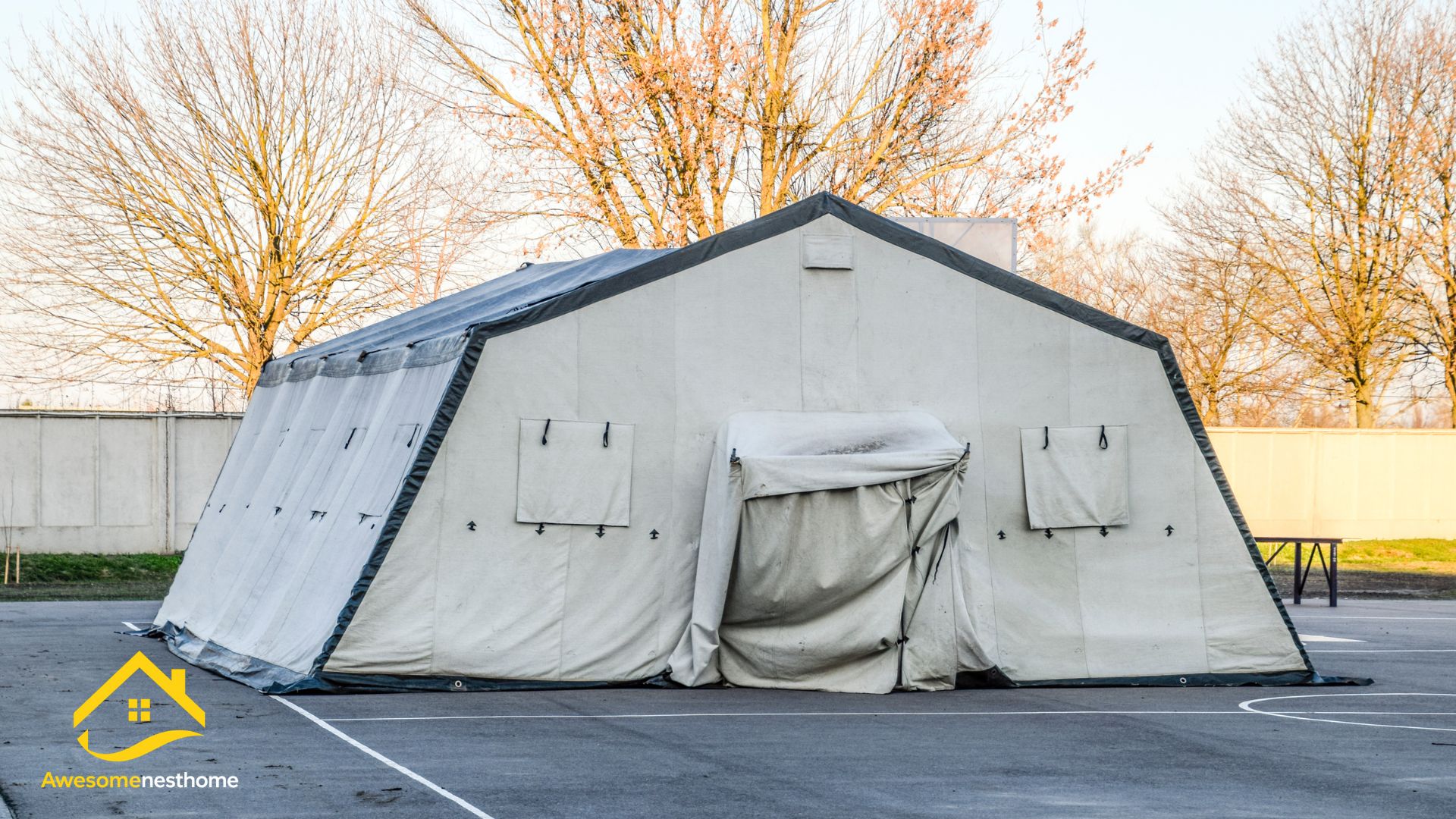 Best Pop Up Canopy: Top 10 Picks